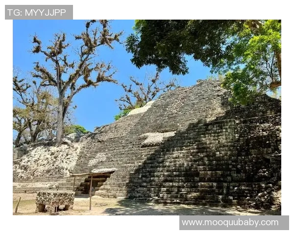 探秘玛雅摩尔的神秘世界与文化遗产之旅