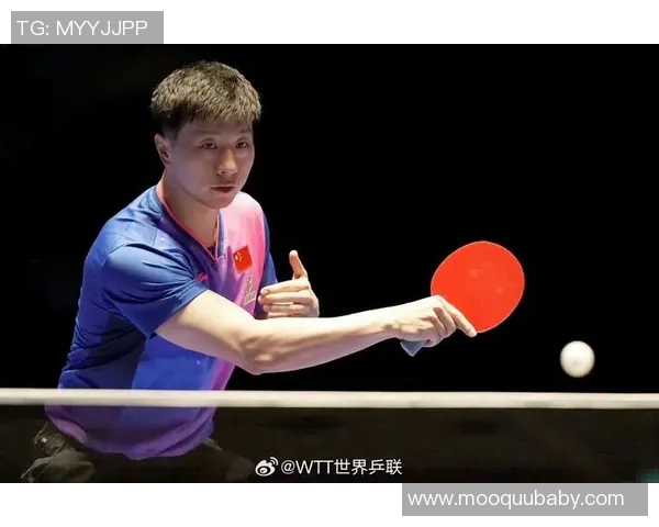 马龙郑尚恩首战对决精彩回顾与赛后分析