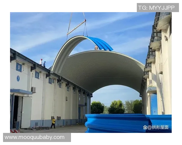 首尔衣恋与富川市场发展趋势对比分析及未来展望