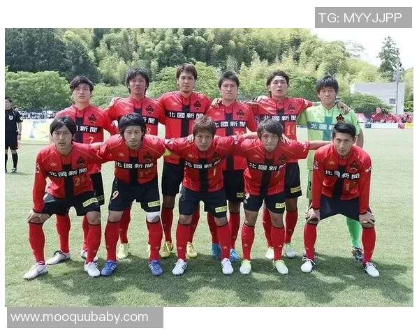 金泽塞维与大板樱花激战在即谁能在这场对决中脱颖而出